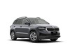 Skoda Karoq 2.0 tdi evo executive 4x4 150cv dsg