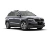 Skoda Karoq 2.0 tdi evo executive 150cv dsg