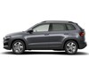 Skoda Karoq 2.0 tdi evo executive 150cv dsg