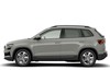 Skoda Karoq 2.0 tdi evo executive 150cv dsg