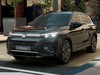 Volkswagen Tiguan 2.0 tdi r-line plus 4motion 193cv dsg