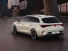 Cupra Leon Sportstourer sportstourer 2.0 tdi 150cv dsg
