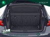 Skoda Kamiq 1.0 tsi black dots 115cv dsg