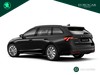 Skoda Octavia wagon 2.0 tdi executive 150cv dsg