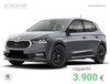 Skoda Fabia 1.0 tsi evo young edition 95cv