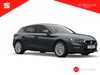 Seat Leon 2.0 tdi business 150cv dsg