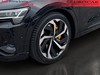 Audi e-tron Spb 300