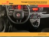 Fiat Panda 1.0 Hybrid Easy s&s 70 CV