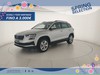 Skoda Karoq 1.0 TSI Selection 115 CV