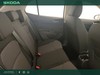 Skoda Fabia Young Edition 1.0 MPI 80 CV