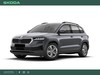 Skoda Karoq Executive 2.0 TDI 150 CV DSG
