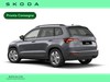 Skoda Karoq 2.0 tdi executive 150cv dsg