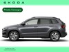 Skoda Karoq 2.0 tdi executive 150cv dsg