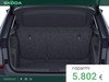 Skoda Kamiq 130 Edition 1.0 TSI 115 CV