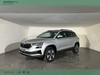Skoda Karoq 2.0 tdi evo ambition 115cv dsg