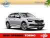 Skoda Kamiq 1.0 tsi style 110cv