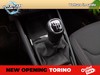 Skoda Kamiq 1.0 tsi ambition 110cv
