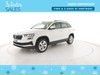 Skoda Karoq 1.0 TSI Executive 110 CV