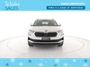 Skoda Karoq 1.0 TSI Executive 110 CV