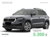 Skoda Karoq 1.0 tsi executive 115cv