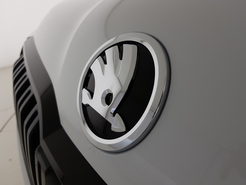 Skoda Kamiq 1.0 tsi black dots 110cv