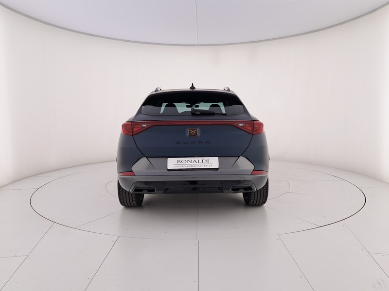 Cupra Formentor 2.0 tsi 4drive 190cv dsg