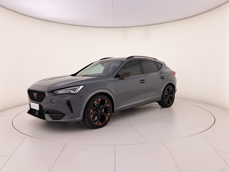Cupra Formentor 2.0 tsi vz 245cv dsg
