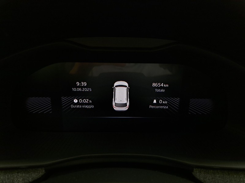 Skoda Kamiq 1.0 tsi black dots 115cv