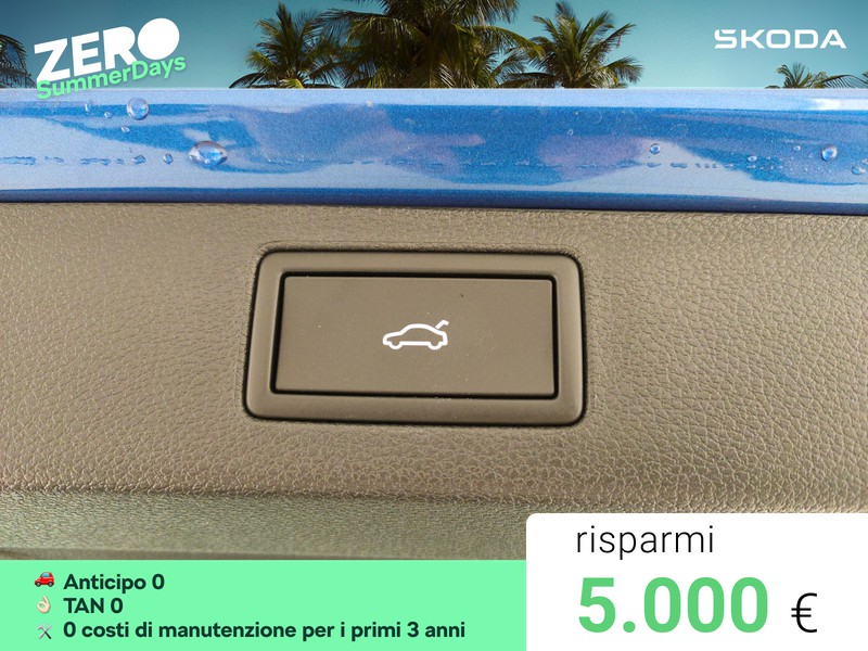 Skoda Kamiq 1.0 tsi 130 edition 115cv