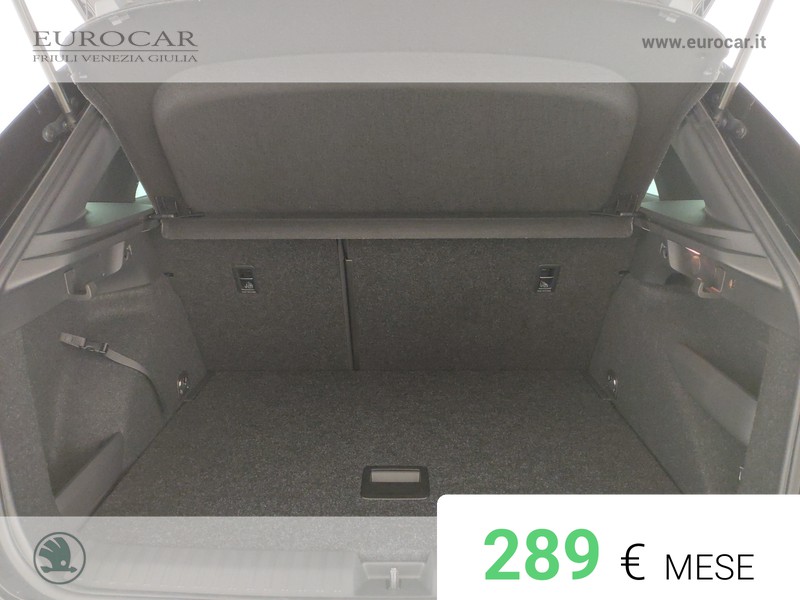 Skoda Kamiq 1.0 tsi monte carlo 115cv dsg