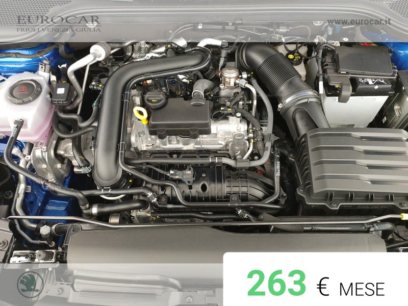 Skoda Kamiq 1.0 tsi monte carlo 115cv