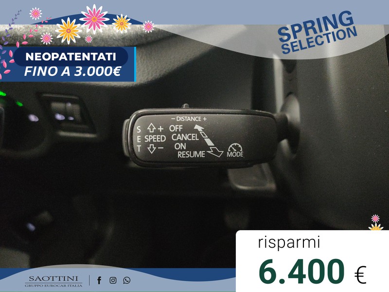 Skoda Kamiq 1.0 TSI Selection 95 CV