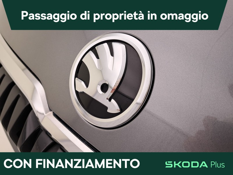 Skoda Karoq 2.0 tdi evo executive 115cv dsg