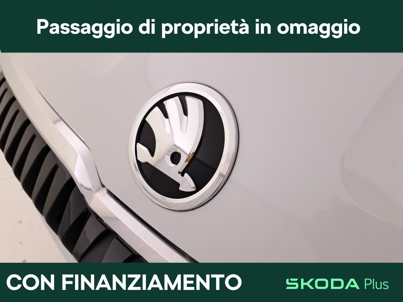 Skoda Karoq 2.0 tdi evo executive 115cv