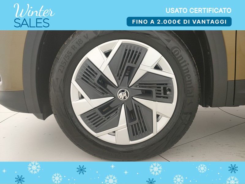 Skoda Kodiaq 1.5 TSI PHEV Executive 204 CV DSG