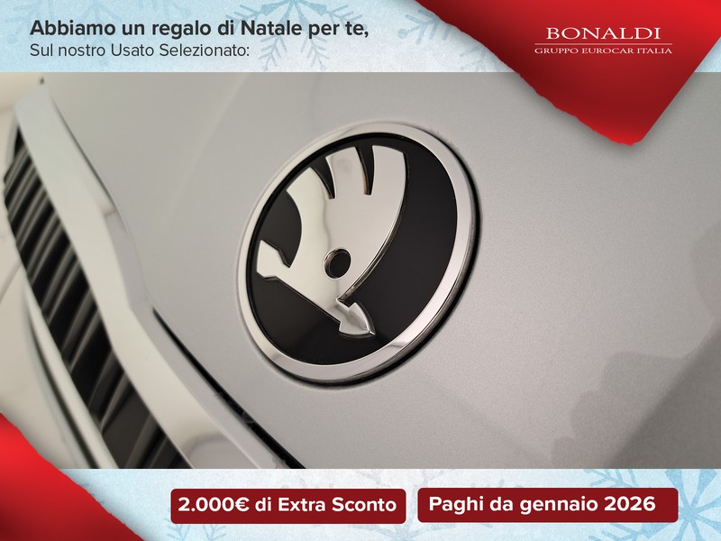 Skoda Octavia wagon 2.0 tdi executive 150cv dsg