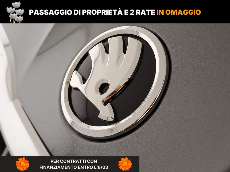 Skoda Fabia 1.0 tsi young edition 95cv