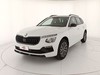Skoda Kamiq 1.0 tsi black dots 115cv