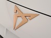 Cupra Formentor 2.0 tdi 150cv dsg